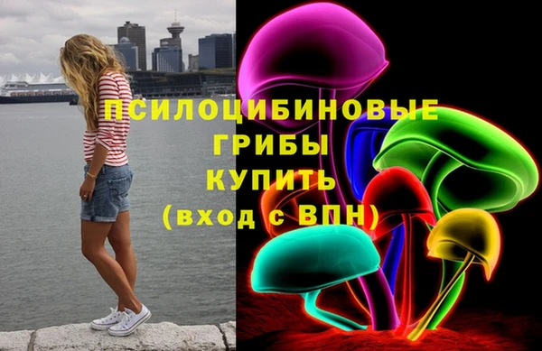 мет Алексин