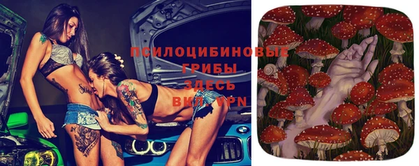 марки lsd Абаза